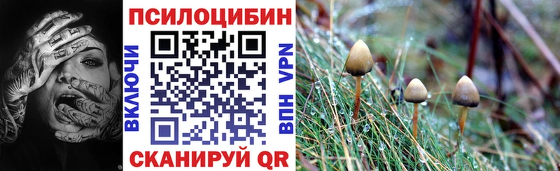 Псилоцибиновые грибы ЛСД  Купить закладки  Борзя 